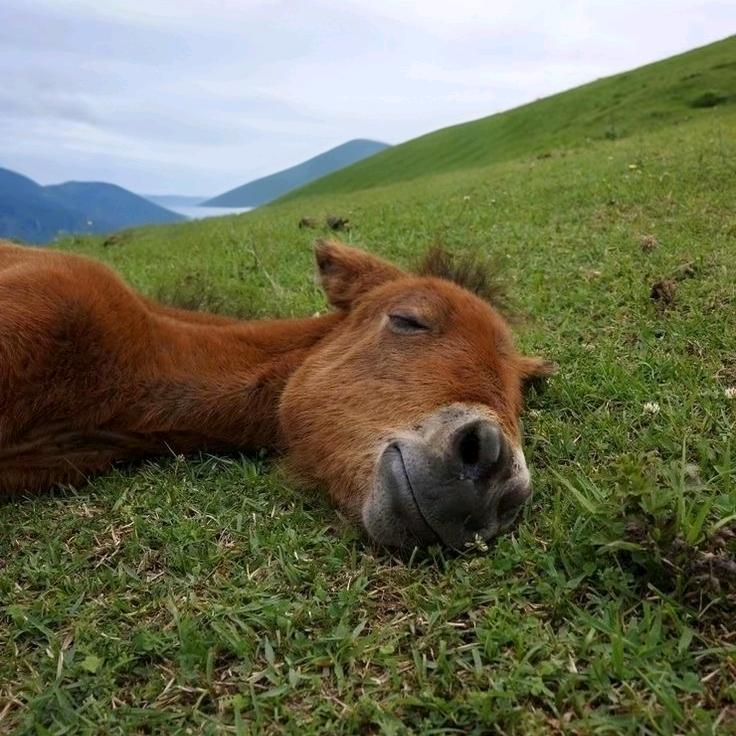 每天练习打王者