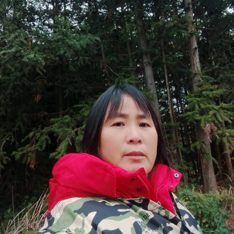 橙子姐。刘