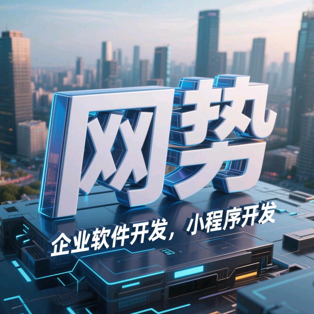 网势科技/软件建站