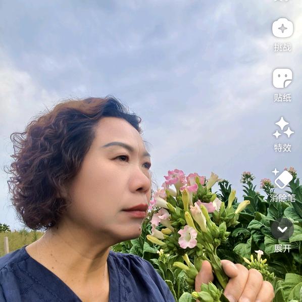 静姐的城乡日记
