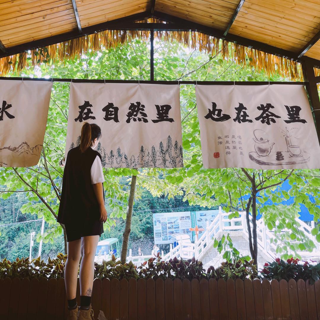 Cc小侦探