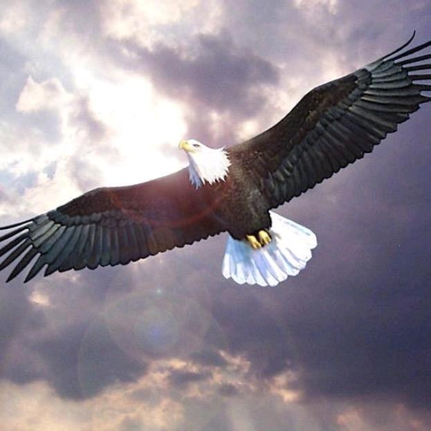 🦅