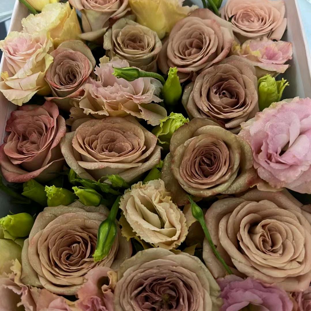 人生如梦，何必