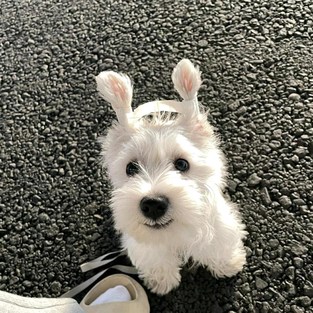 AA欣欣甄选好物