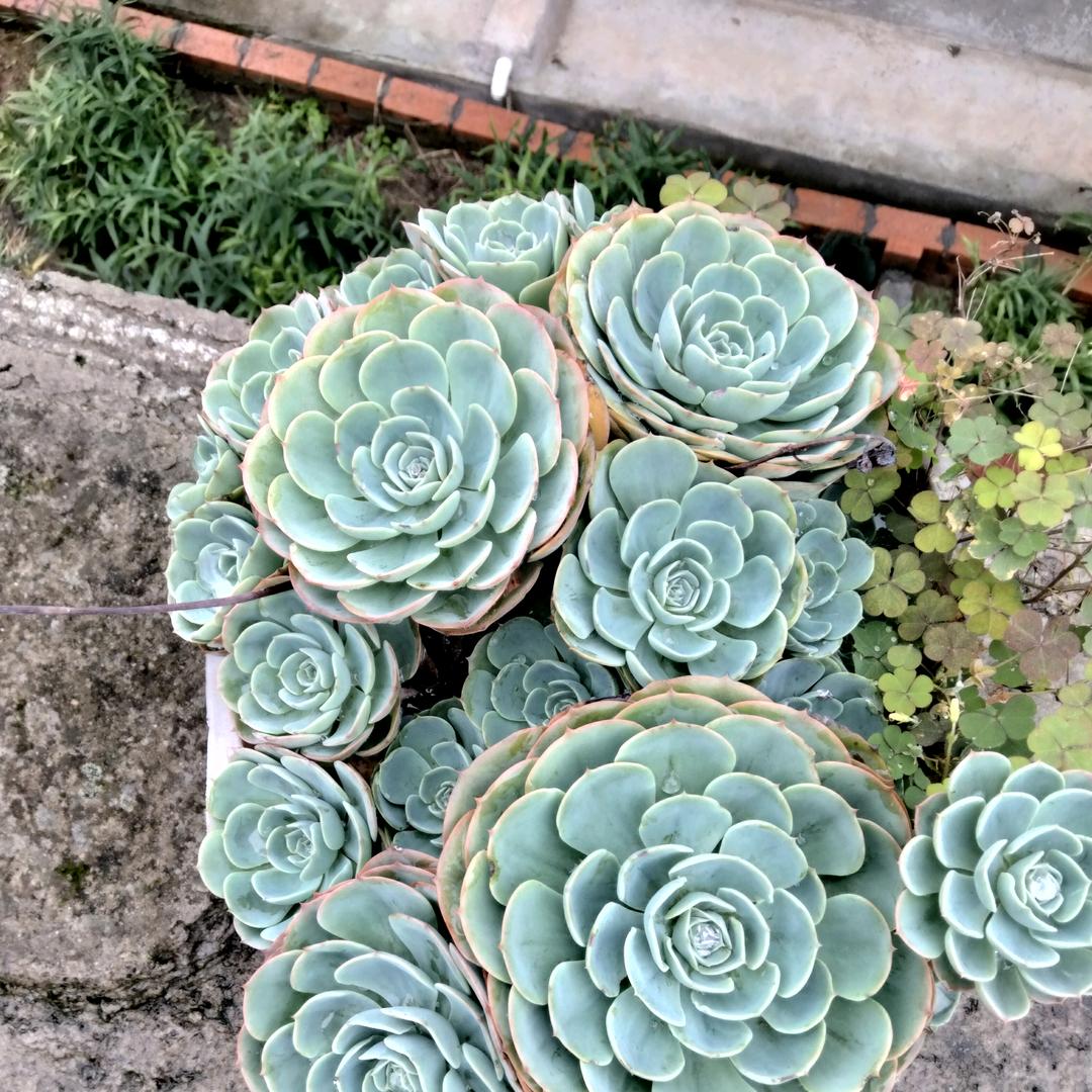 ᝰꫛꫀꪝMꫀꫀt ꪗꪮꪊ