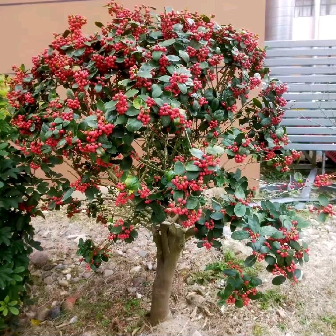 顺其自然