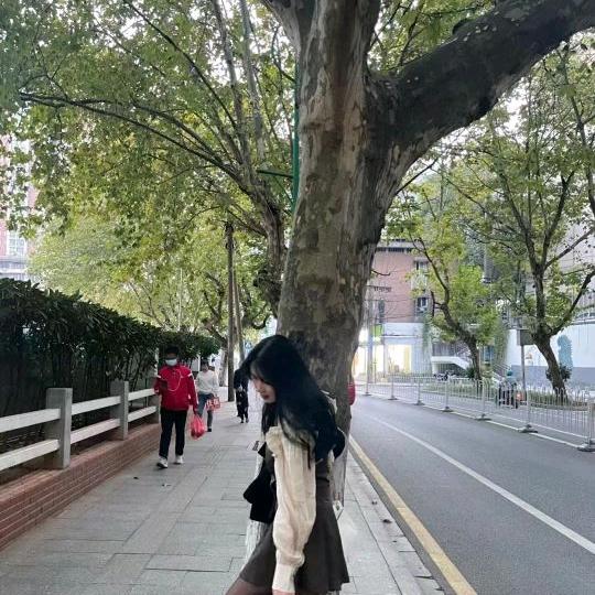 小嘉嘉🍃