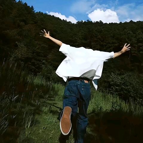 是柏不是白