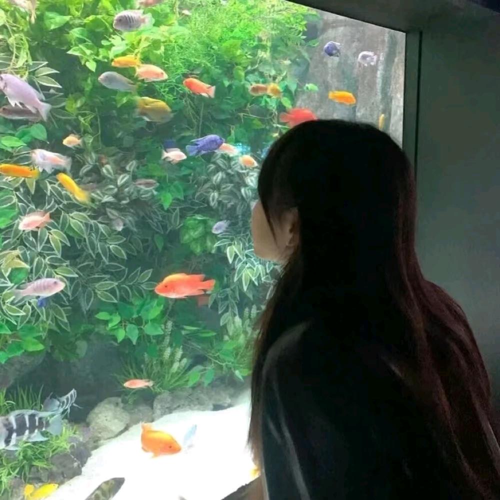 不穿高跟鞋👠