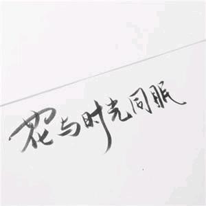 花与时光同眠