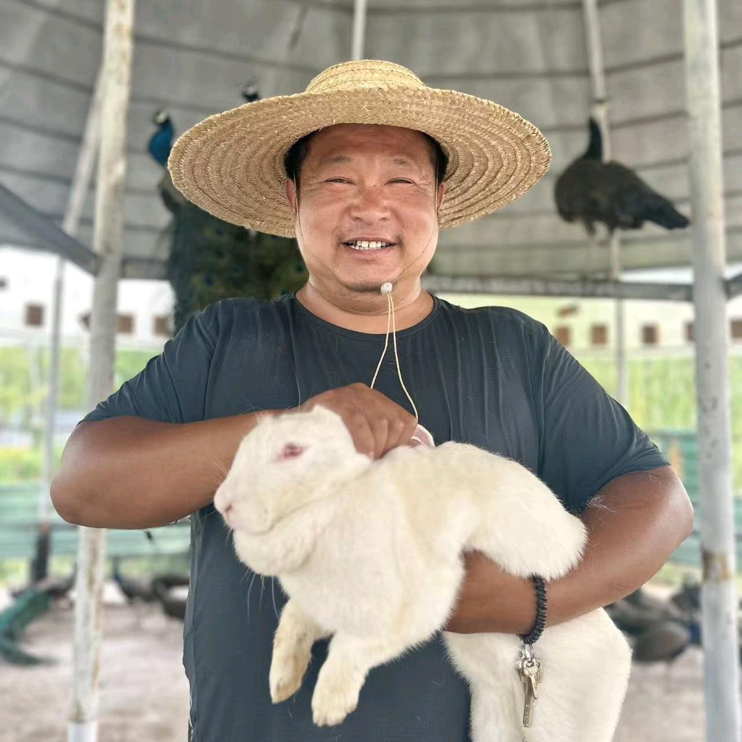 锦绣湾里孔雀铲屎官