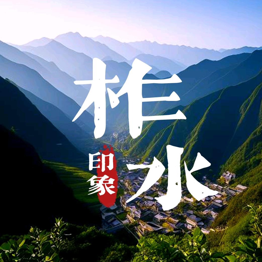 在柞水