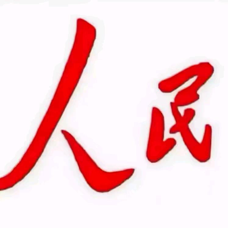 陈努力