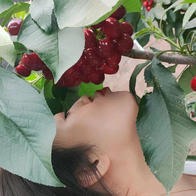 ～静夜～