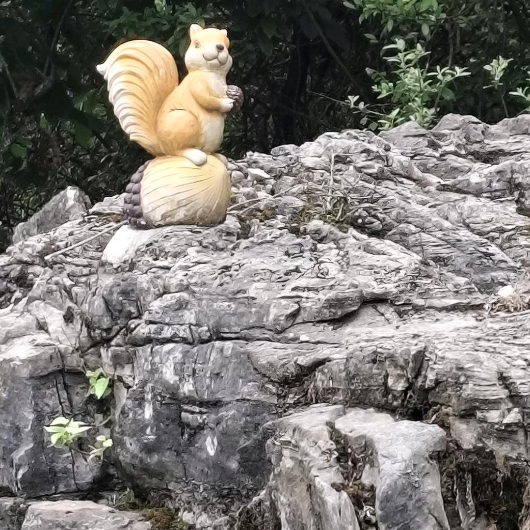 枫中飘渺