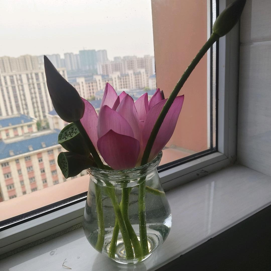 ☞魏来可期♥