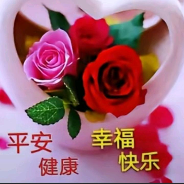 顺其自然