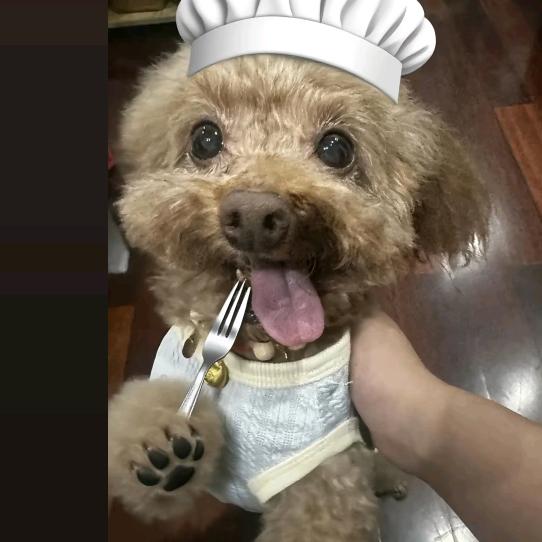 六尺巷