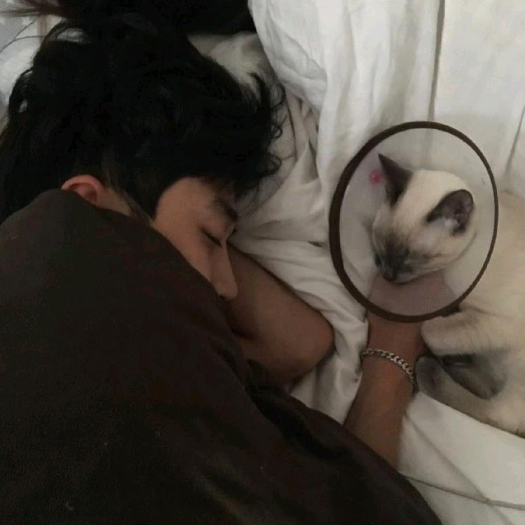 蛙蛙不是哇啦哇啦💤