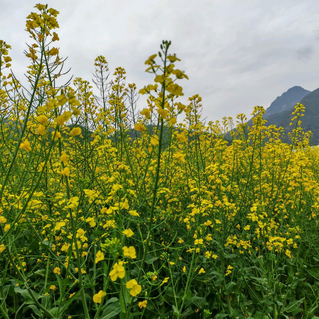怎么开心怎么玩