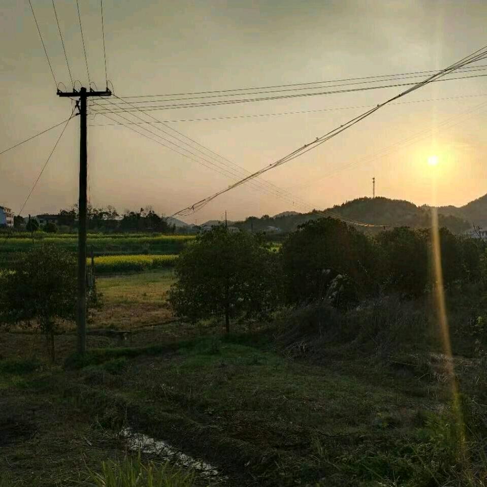 走南趟北
