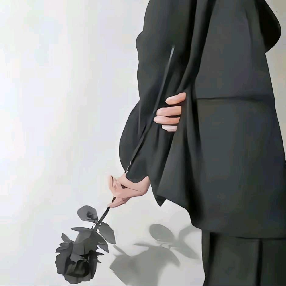 迪西