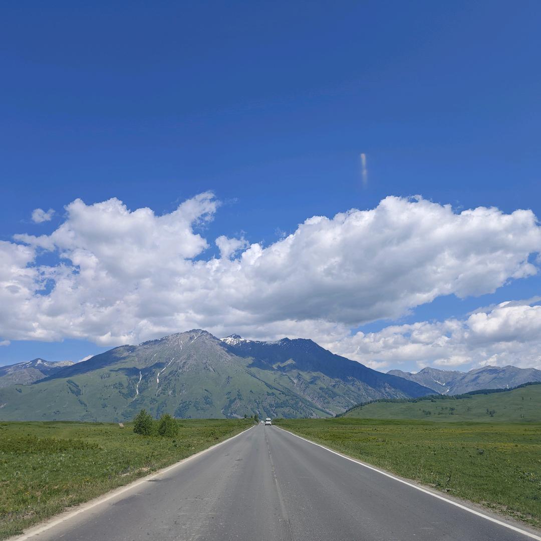 陈小权