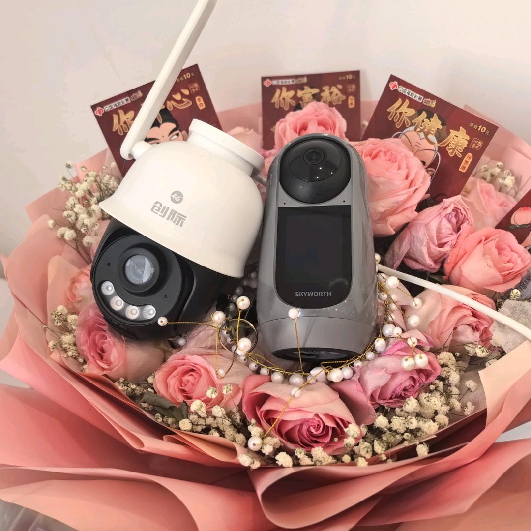 监控严选帮你选