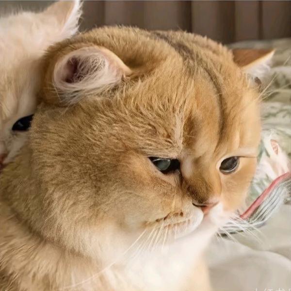 扬帆起航