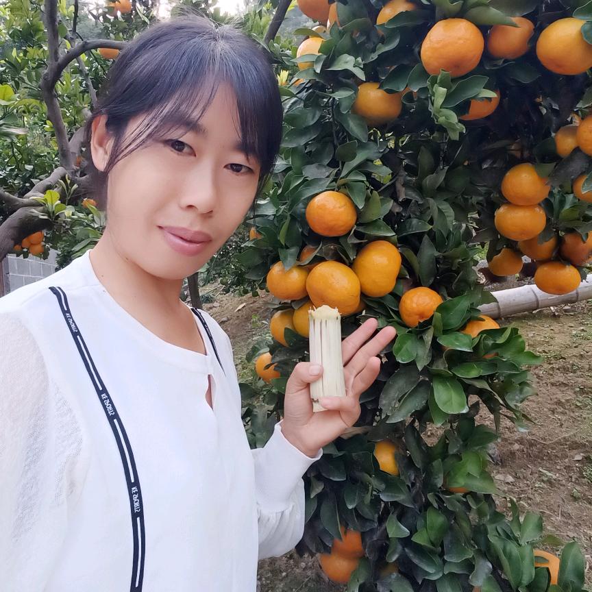 橘子红了