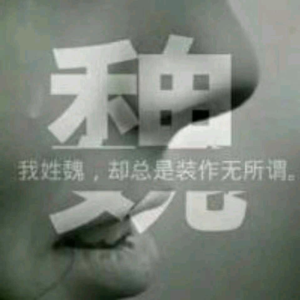 魏了碎银几两