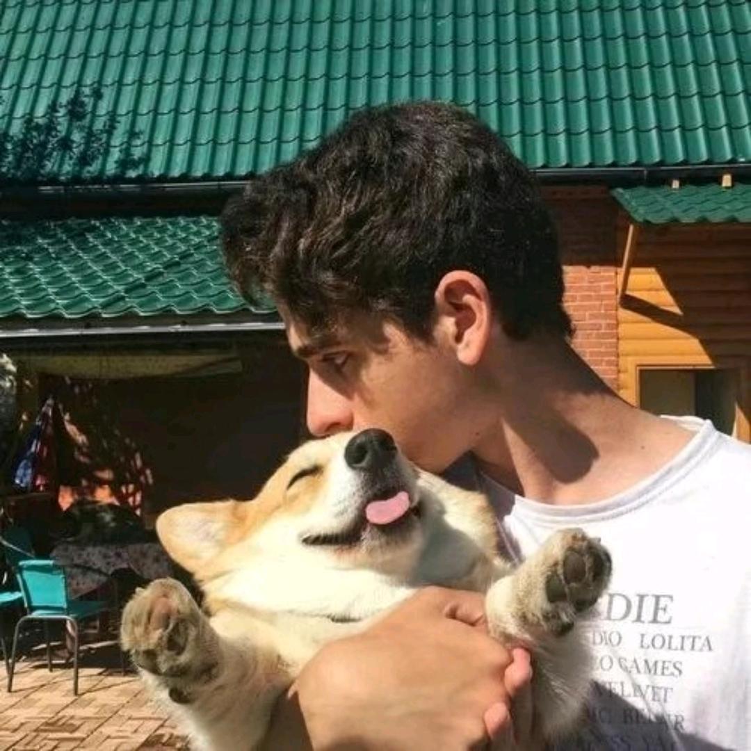 四季平安张公子