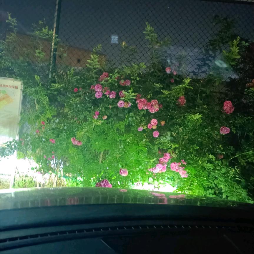 那我忘记了