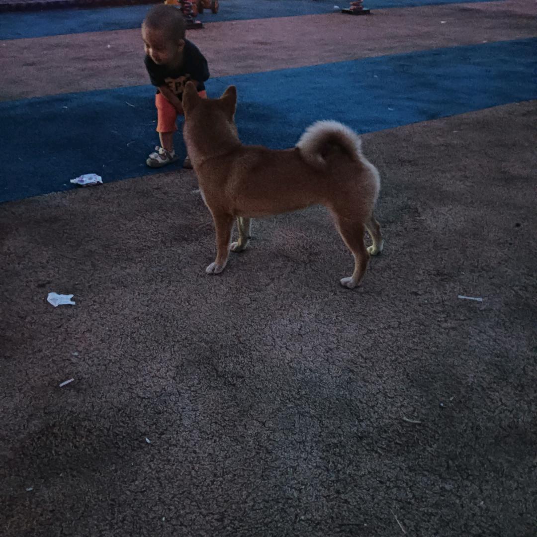 蜕变，非凡的人生。