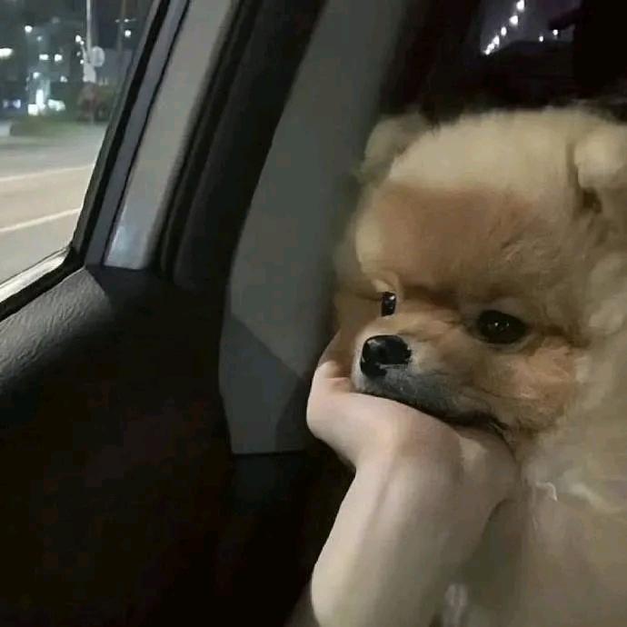 群众