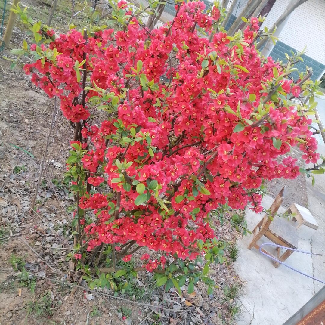 饭后一支烟