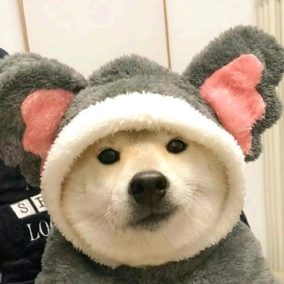 纸老虎