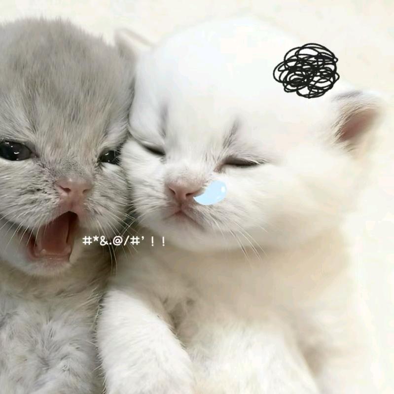 讲不完.
