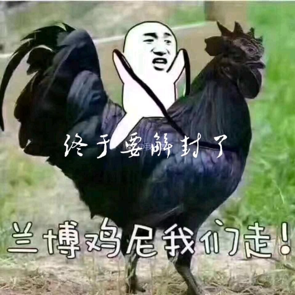 😈二大爷👿
