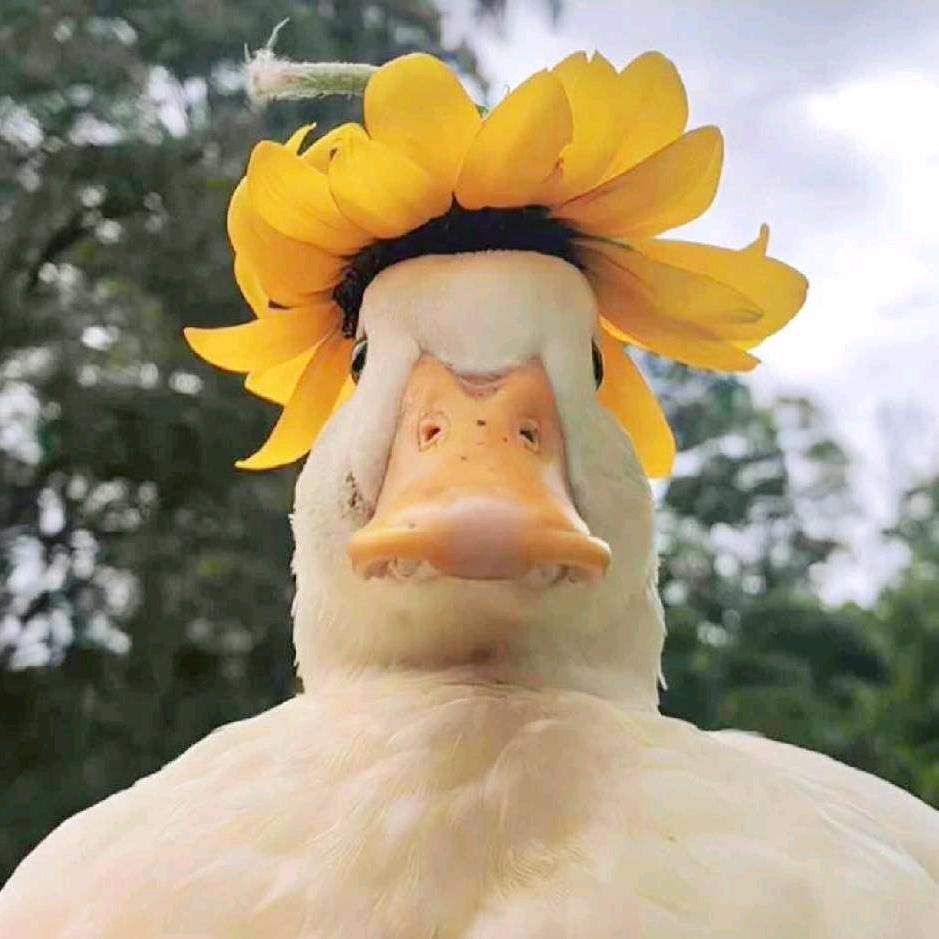 小磊