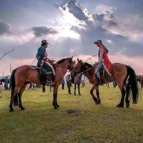 部落草原特产销售