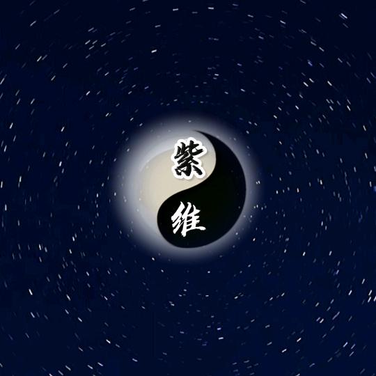 紫斗四维