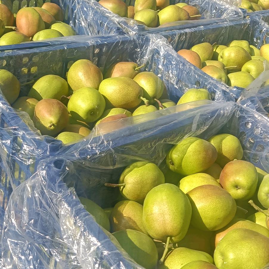 优优装饰（壶关店）