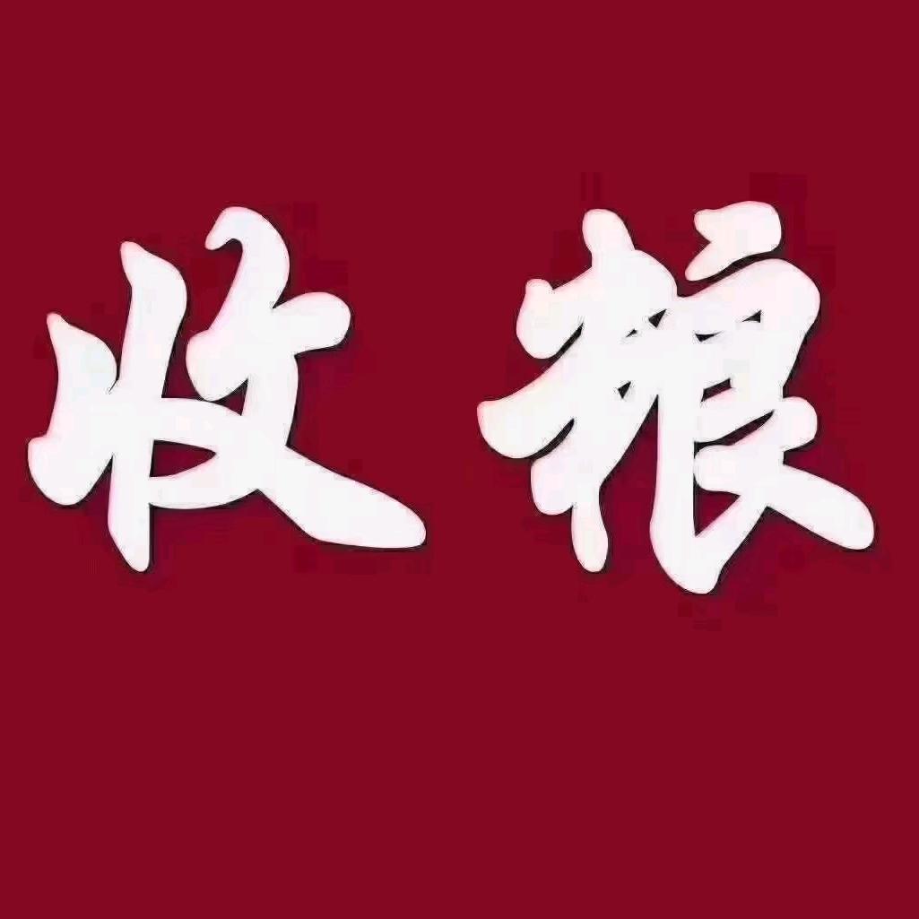 神强收粮