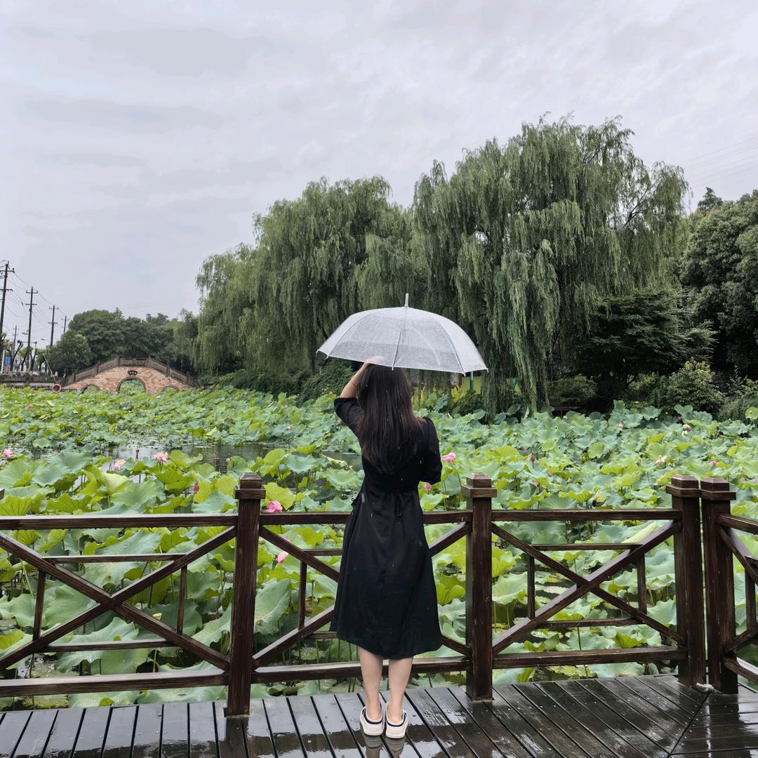 LU露
