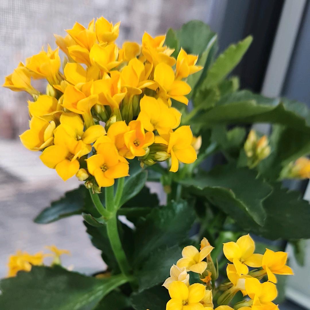 ✧*و雅枫✧*