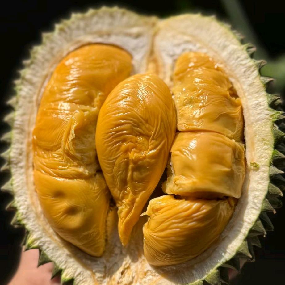 榴你一生莲你一世