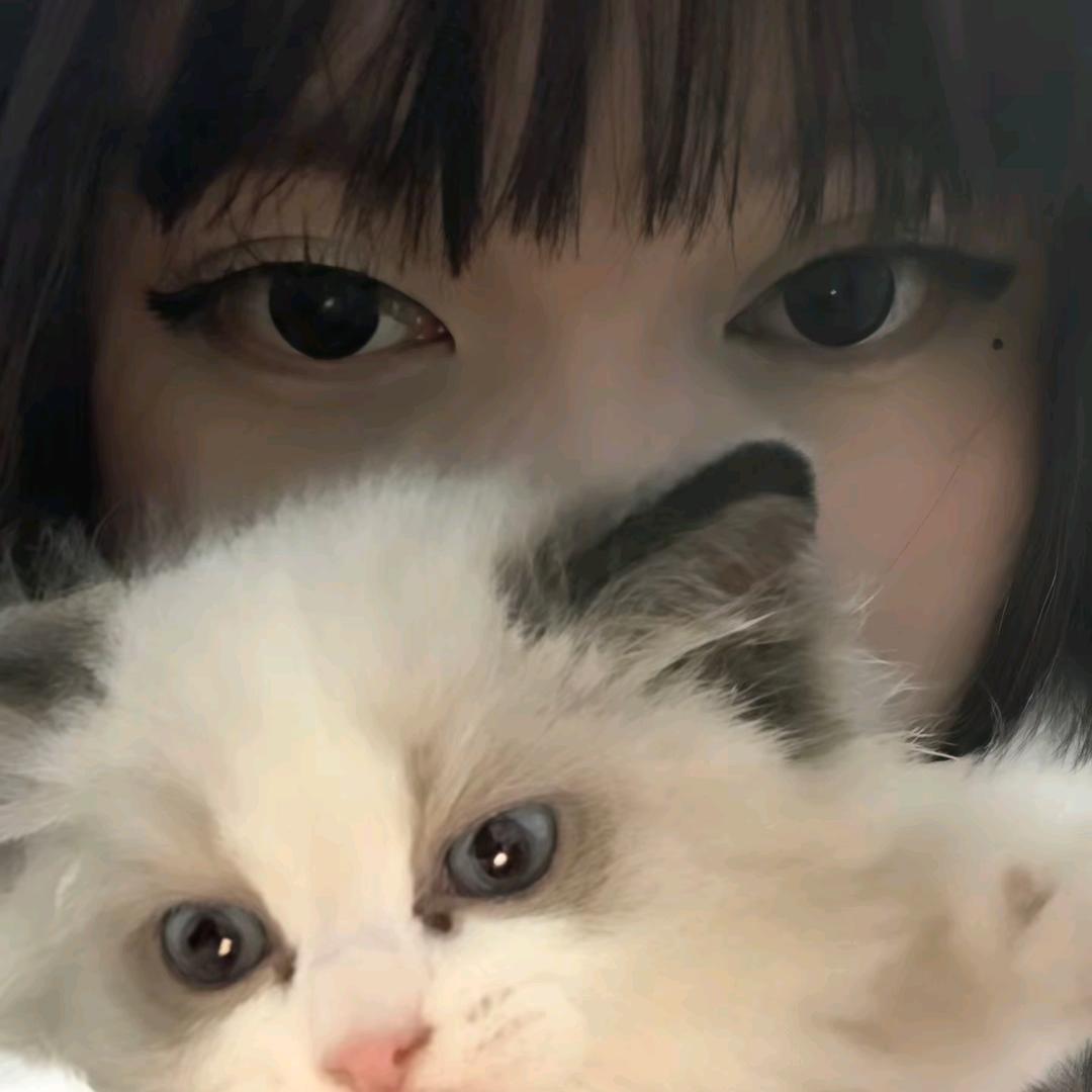 一口六个蛋挞