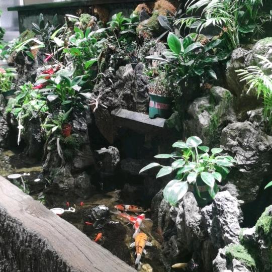 金金金金金金
