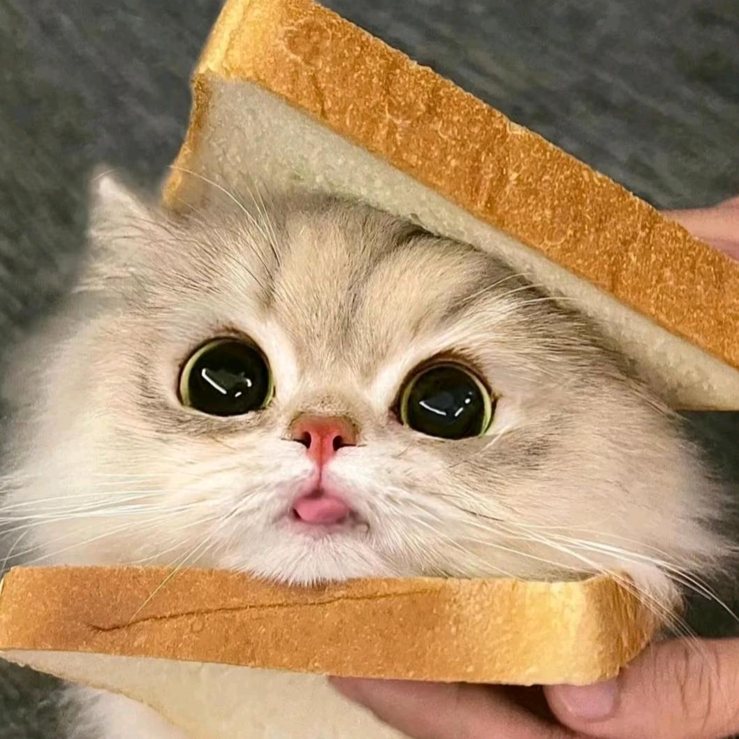 乐乐.Nail（学习版